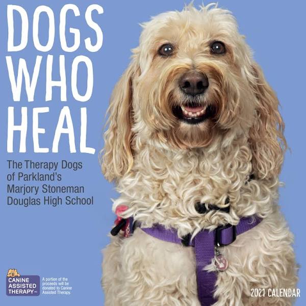DOGS WHO HEAL WALL CALENDAR 2021 9781523511068