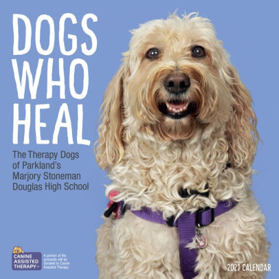 DOGS WHO HEAL WALL CALENDAR 2021 9781523511068_88faa6ed-c28c-4459-bbad-4cd1a0072767