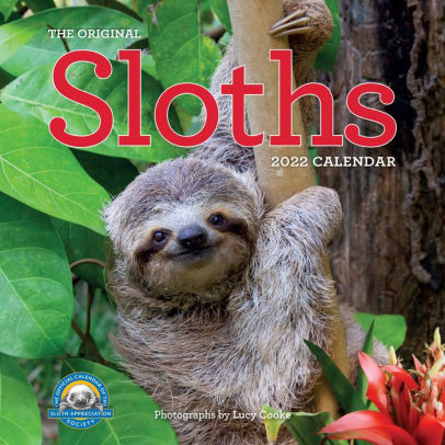 SLOTHS 9781523512140_c730d66f-2b28-4a83-a81e-fef7e13072e5