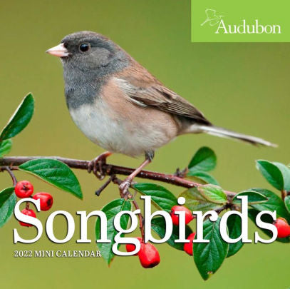 SONGBIRDS 9781523512195_7aaafcf2-a25e-4a77-be60-bf57911abc5b