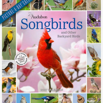 AUDOBON SONGBIRDS 9781523512201_0f1503e6-d459-44b4-b01a-b598eac8f1f7