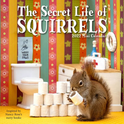 THE SECRET LIFE OF SQUIRRELS MINI 9781523512539_808889d0-8674-442b-9a0c-3ff2ff47dc9a