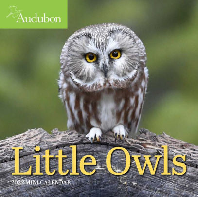 LITTLE OWLS MINI 9781523512560_1f4c3a40-e446-46b2-9a37-6a23bbd4ed68