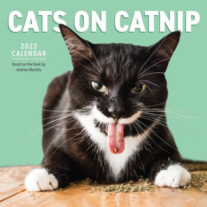 CATS ON CATNIP 9781523512782_f280aa66-38fd-41ec-b96c-335bc10bb6e2