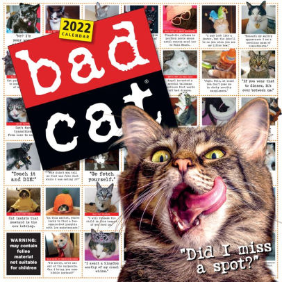 BAD CAT 9781523513116_fb2bc17e-de77-430b-b7a8-402355e6bc4f