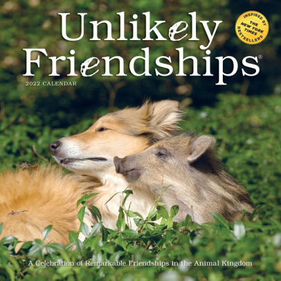 UNLIKELY FRIENDSHIPS 9781523513284_0450a5aa-c642-4745-94d8-42e131499c32