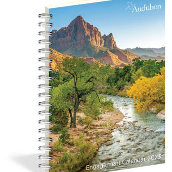 Audubon Engagement Calendar 2023 - Workman 9781523515516_53eec55a-0afd-459f-bcc0-050bcee8f4d5