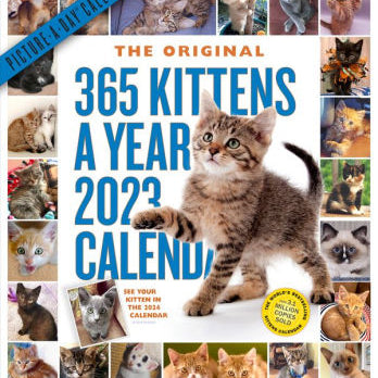 365 Kittens-A-Year Picture-A-Day Wall Calendar 2023 - Workman 9781523515837_6d553dcb-704c-4b95-a9cf-565fc8d3cf79