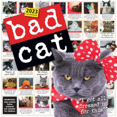 Bad Cat Wall Calendar 2023 - Workman 9781523516193_c90a6878-7997-4843-a4f2-588c52f0023a