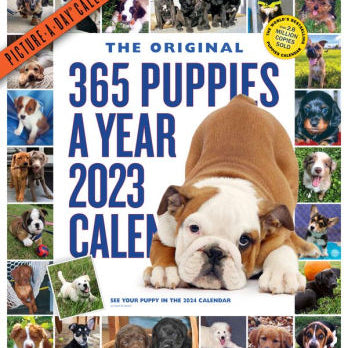365 Puppies-A-Year Picture-A-Day Wall Calendar 2023 - Workman 9781523516698_e602bac7-097b-4fe5-bb6d-0a561af90907