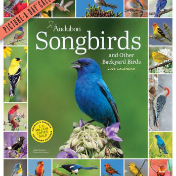 Audubon Songbirds And Other Backyard Birds Picture-A-Day Wall Calendar 2023 - Wo 9781523516766_fb5c6303-ce30-43e3-bfc7-c26c34449d31