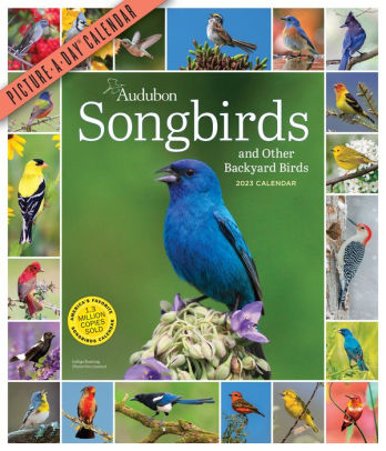 Audubon Songbirds And Other Backyard Birds Picture-A-Day Wall Calendar 2023 - Wo 9781523516766_fb5c6303-ce30-43e3-bfc7-c26c34449d31