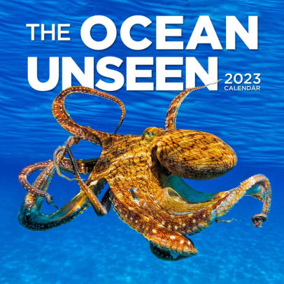 Ocean Unseen Wall Calendar 2023 - Workman 9781523516773_4995e01e-5603-47c4-881f-9f2bb1151e05
