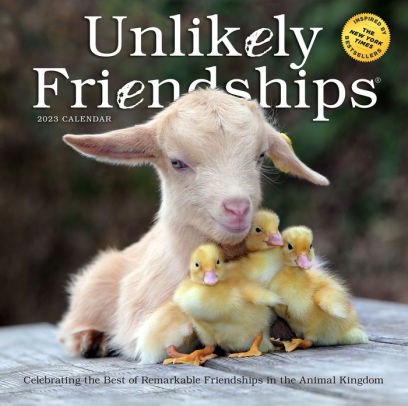 Unlikely Friendships Wall Calendar 2023 - Workman 9781523516797_b1d0d6e5-e5dc-4066-8392-45118e9a98b9