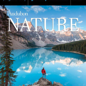 Audubon Nature Page-A-Day Gallery Calendar 2023 - Workman 9781523516919_5e90b969-32d4-4972-a441-c7c569d67cac