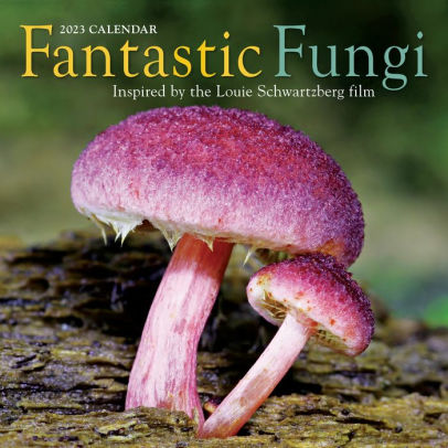 Fantastic Fungi Wall Calendar 2023 - Workman 9781523517213_e0538b41-b7fe-4640-9f37-6da2716445e7