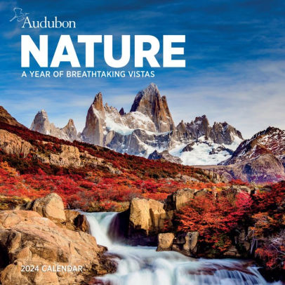 Audubon Nature Wall Calendar 2024 - Workman Calendars 9781523518975_0c822678-5e85-4817-9cbd-5fe2219c7bae