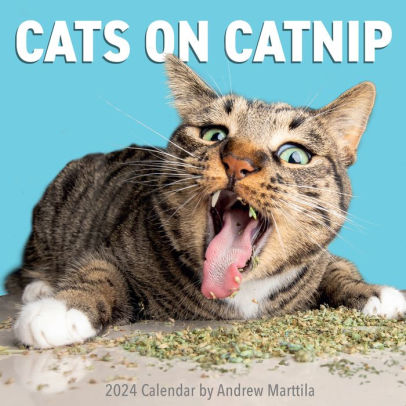 Cats On Catnip Wall Calendar 2024 - Marttila, Andrew 9781523519736_f161bbcb-7d96-4df6-a40f-ad4d99ae57bd