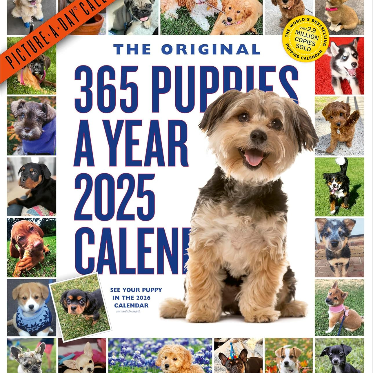 365 Puppies-A-Year Picture-A-Day Wall Calendar 2025 - Workman Calendars 9781523524914