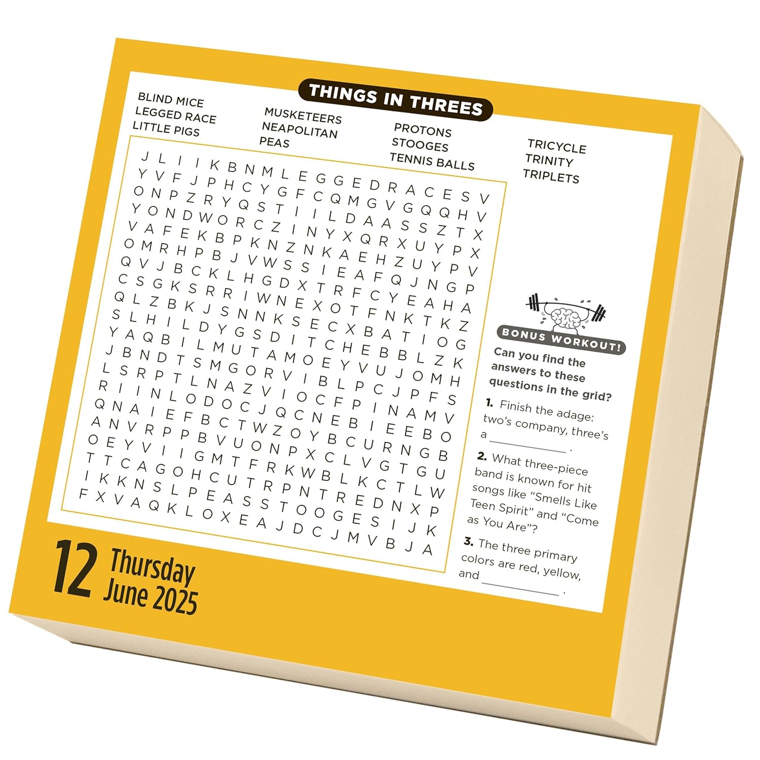 Brain Workout Word Search Page-A-Day Calendar 2025 - Workman Calendars 9781523524969_3