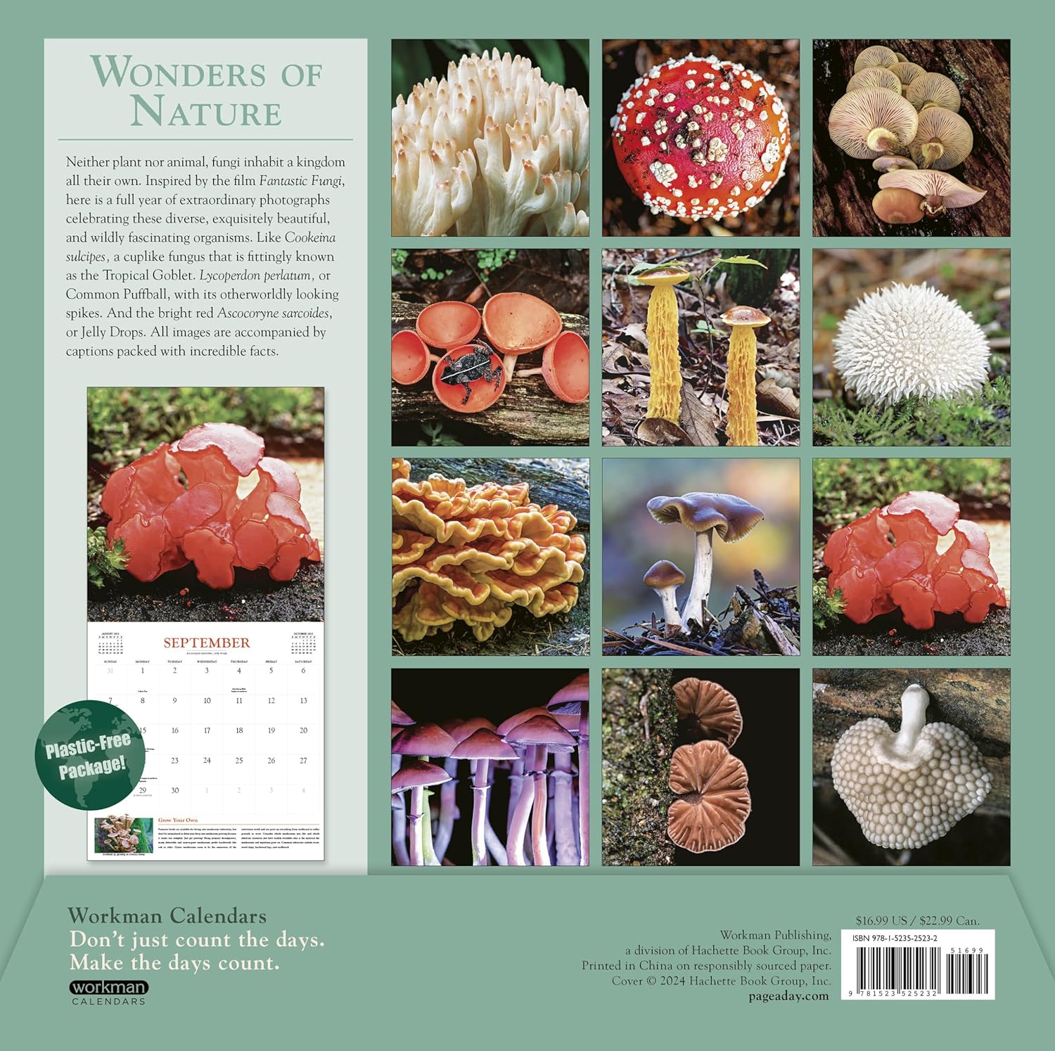 Fantastic Fungi Wall Calendar 2025 - Workman Calendars 9781523525232_1