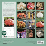 Fantastic Fungi Wall Calendar 2025 - Workman Calendars 9781523525232_1