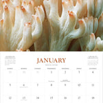 Fantastic Fungi Wall Calendar 2025 - Workman Calendars 9781523525232_2