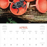 Fantastic Fungi Wall Calendar 2025 - Workman Calendars 9781523525232_3