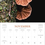 Fantastic Fungi Wall Calendar 2025 - Workman Calendars 9781523525232_4