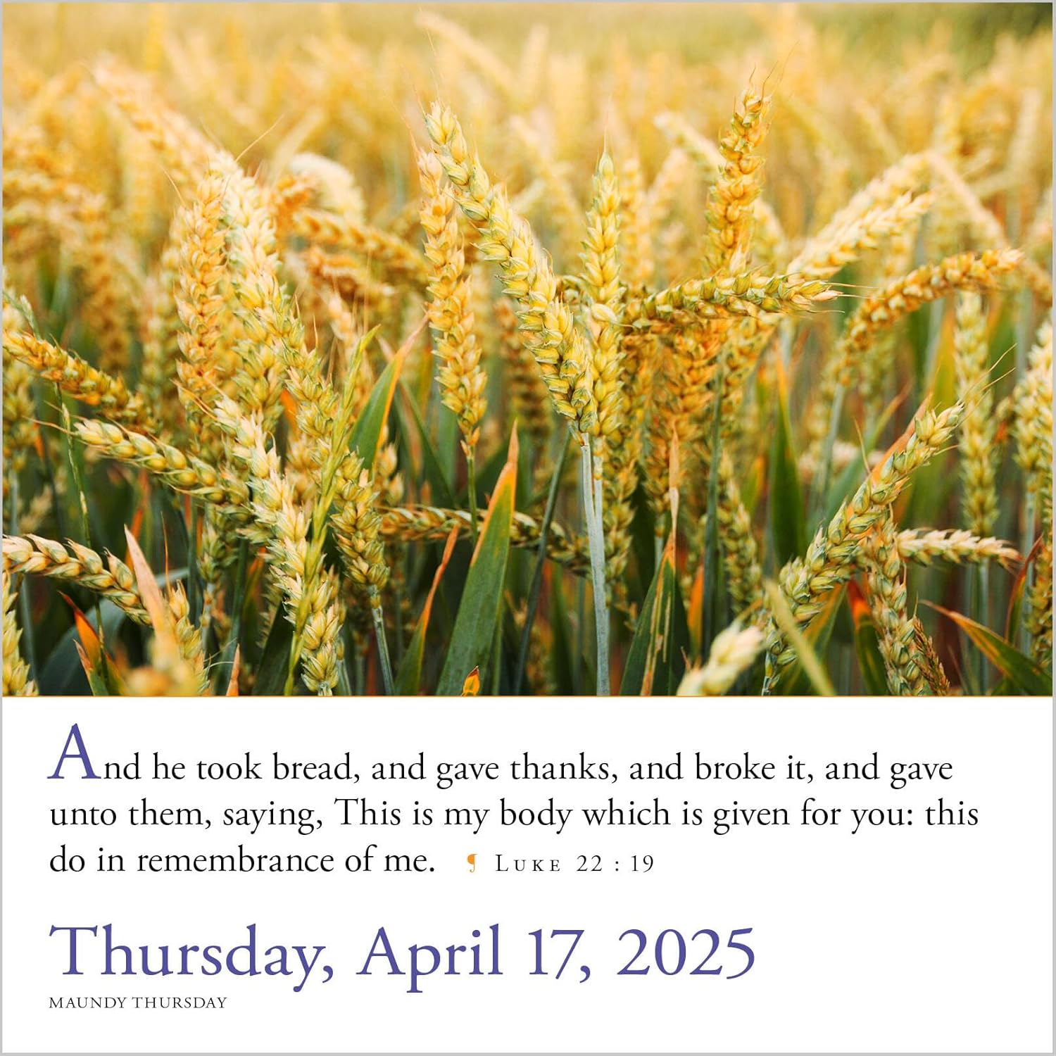 365 Bible Verses-A-Year Page-A-Day Calendar 2025 - Workman Calendars 9781523525393_6