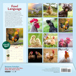 How To Speak Chicken Wall Calendar 2025 - Caughey. Melissa 9781523525805_1