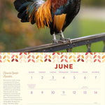 How To Speak Chicken Wall Calendar 2025 - Caughey. Melissa 9781523525805_3
