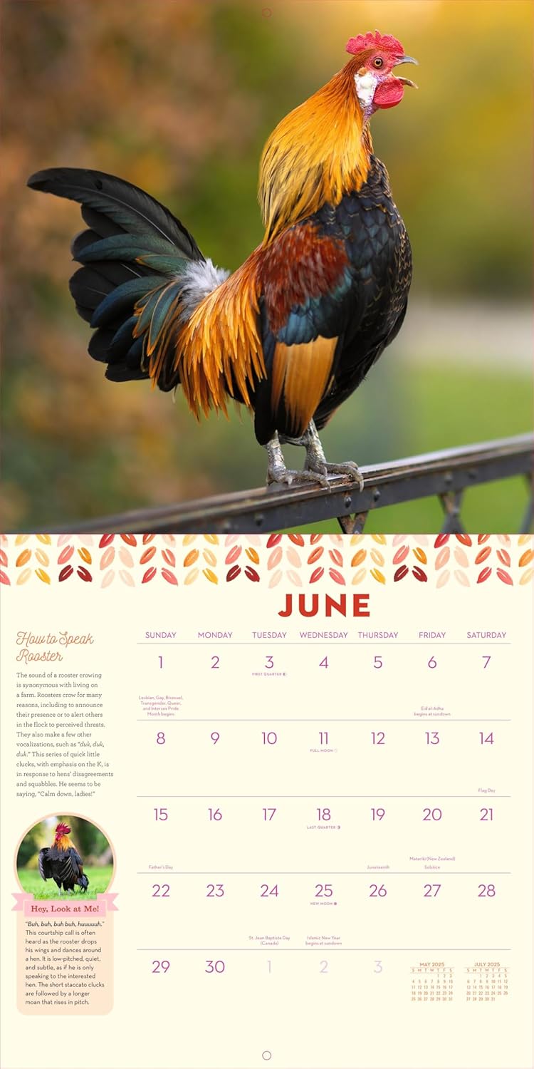 How To Speak Chicken Wall Calendar 2025 - Caughey. Melissa 9781523525805_3