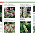 Plant This, Not That A Gardening Reference by Howard. Elise 20 9781523525911_2
