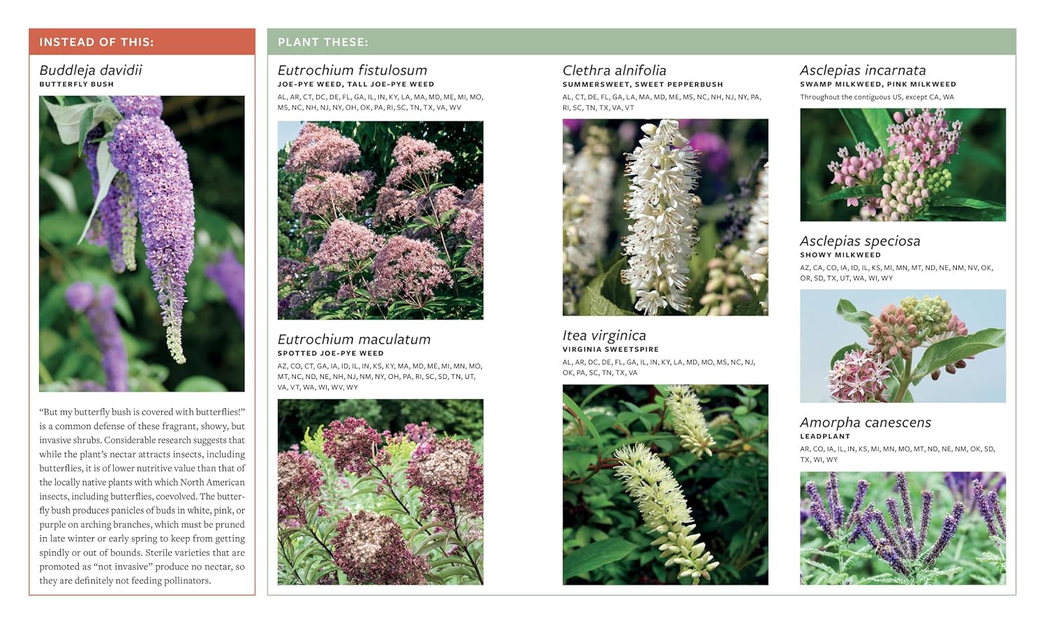 Plant This, Not That A Gardening Reference by Howard. Elise 20 9781523525911_2