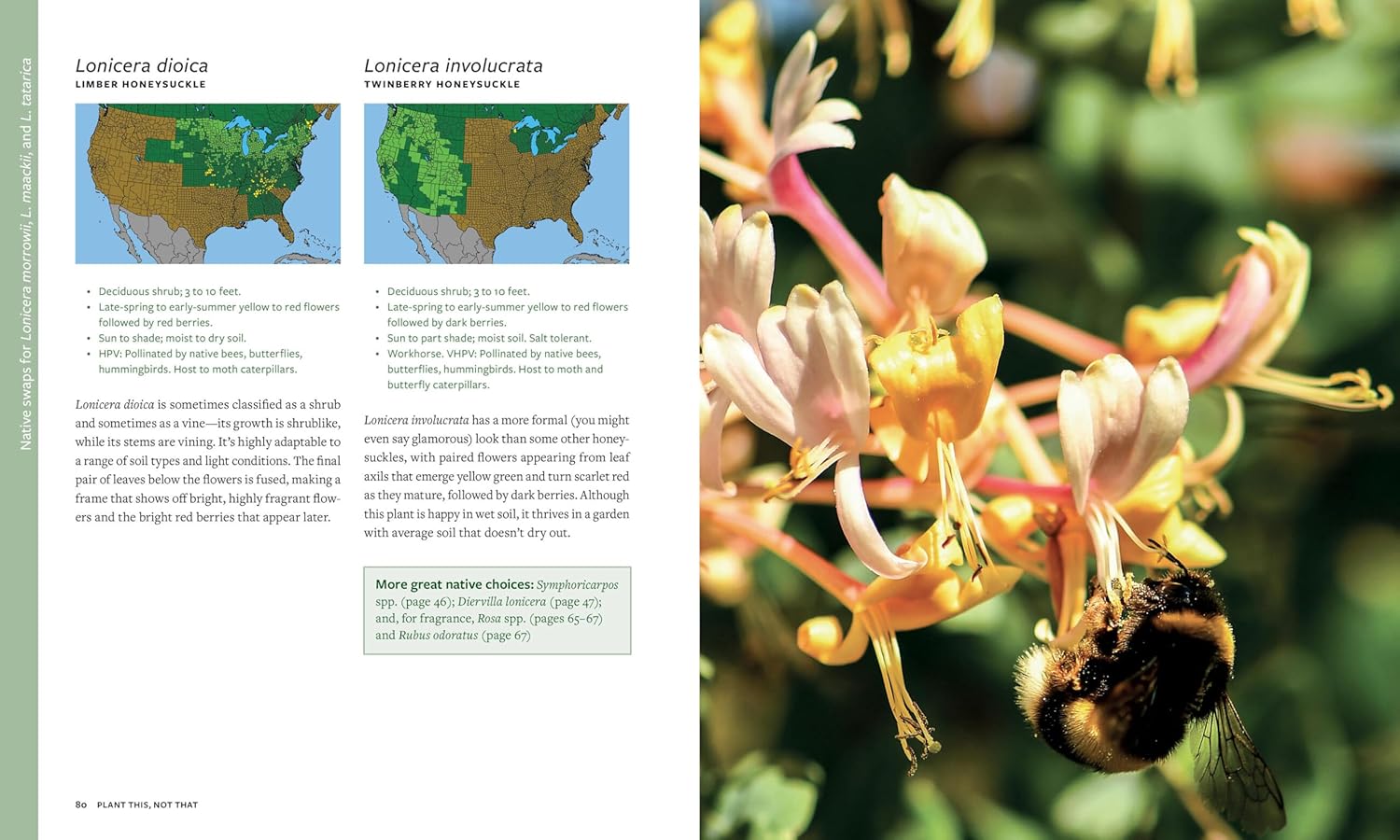 Plant This, Not That A Gardening Reference by Howard. Elise 20 9781523525911_4