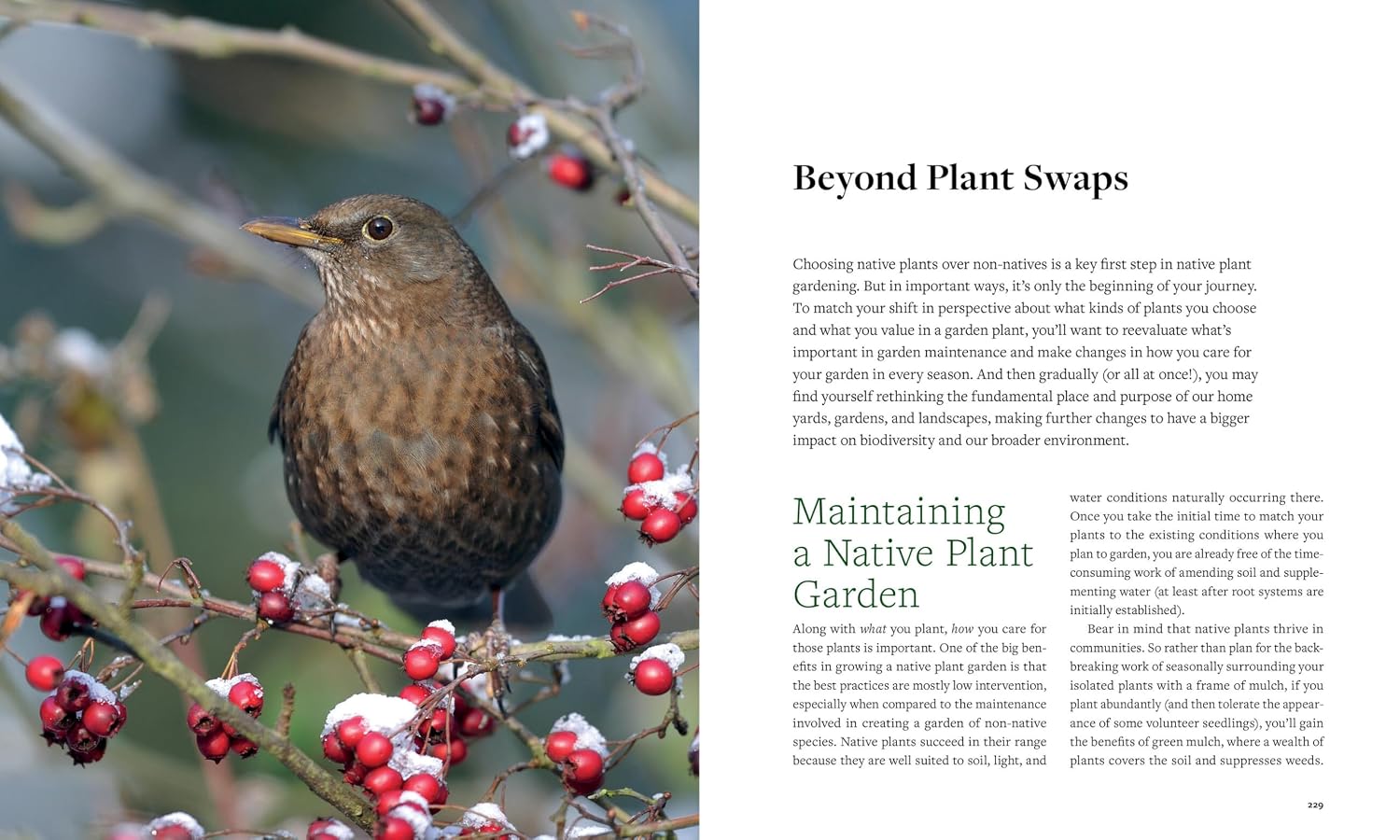 Plant This, Not That A Gardening Reference by Howard. Elise 20 9781523525911_5