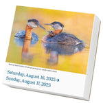 Audubon Birds Page-A-Day Calendar 2025 - National Audubon Society 9781523526079_4