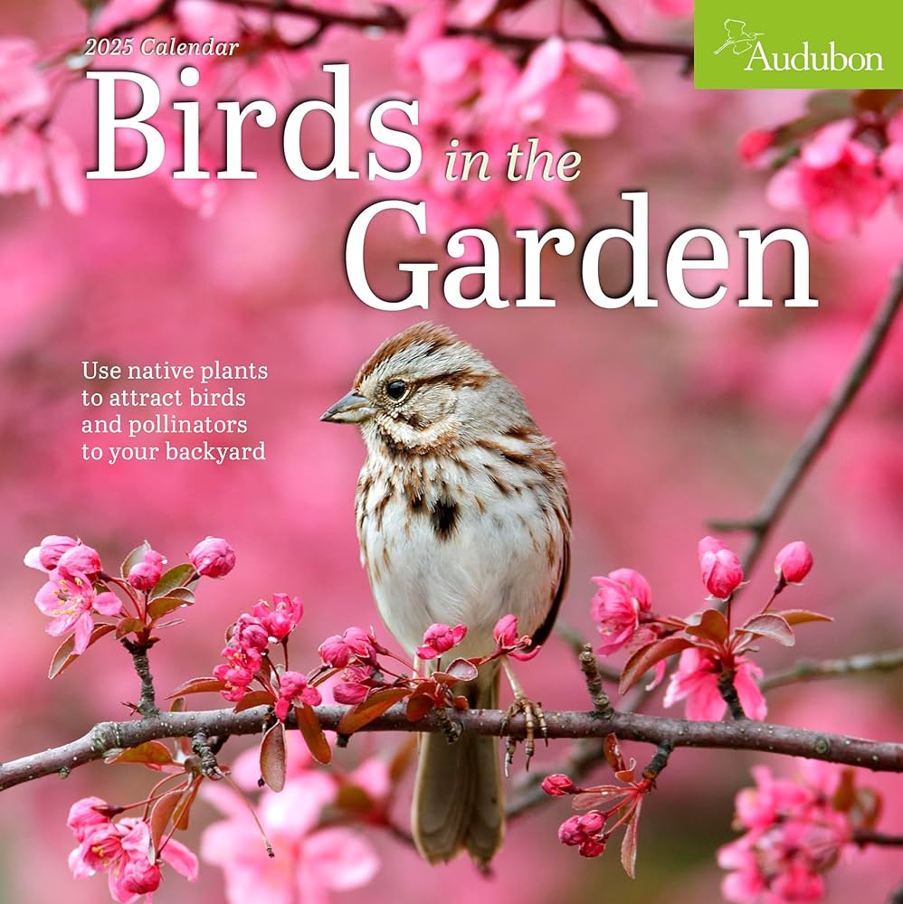 Audubon Birds In The Garden Wall Calendar 2025 - National Audubon Society 9781523526093