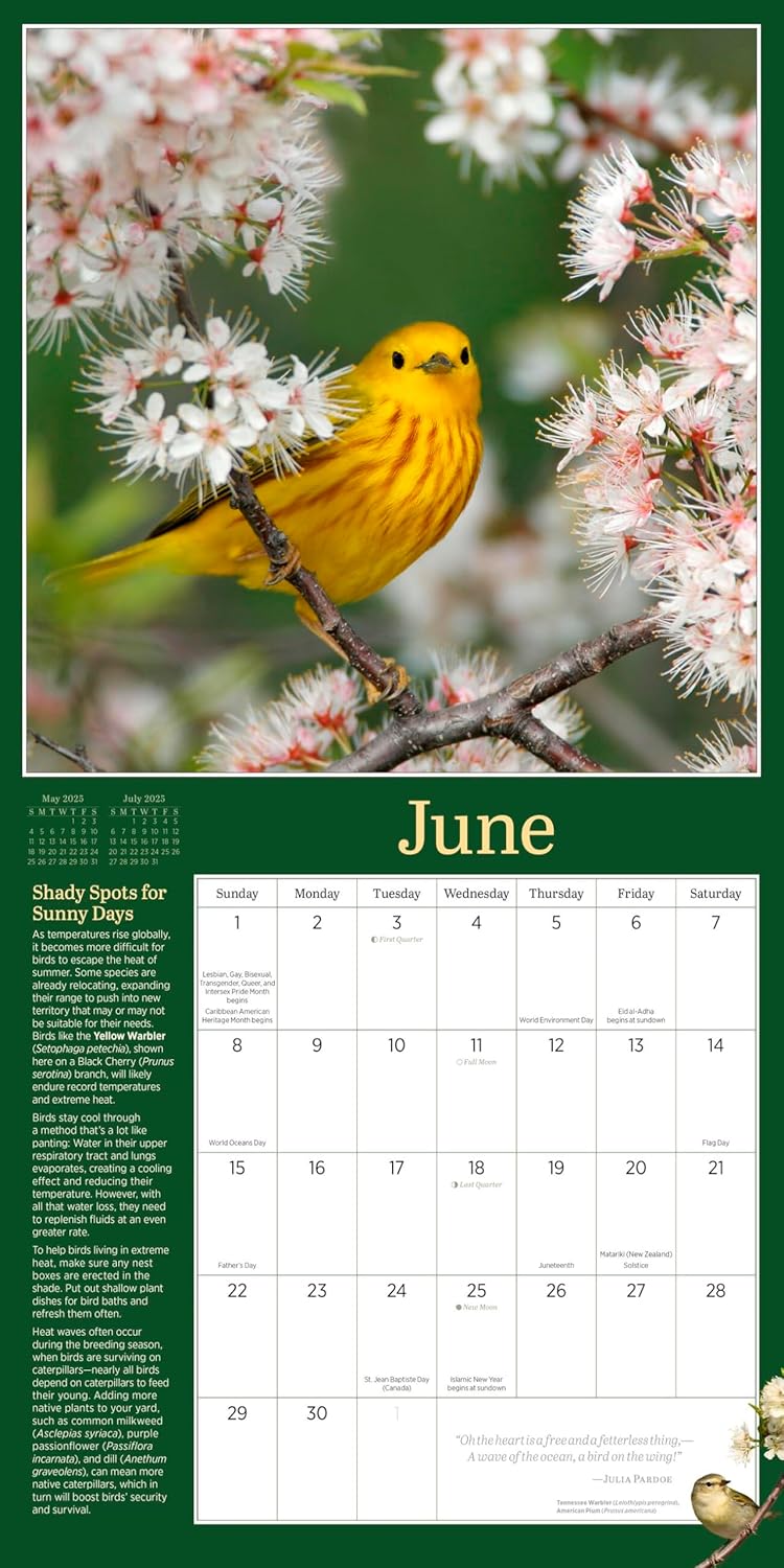 Audubon Birds In The Garden Wall Calendar 2025 - National Audubon Society 9781523526093_4
