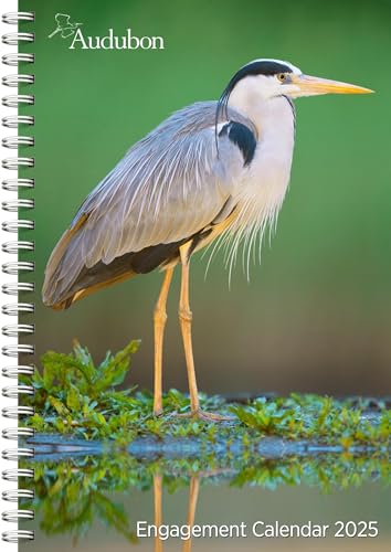 Audubon Engagement Calendar 2025 - National Audubon Society 9781523526123