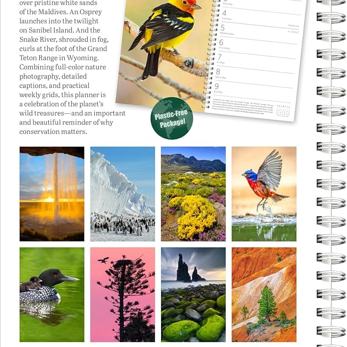 Audubon Engagement Calendar 2025 - National Audubon Society 9781523526123_f6a56bf5-6689-495c-80df-2394e1b2a98e