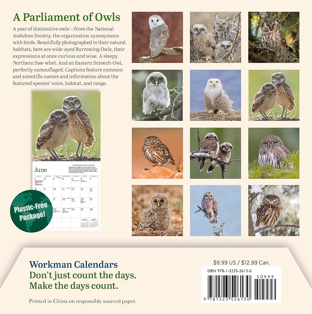 Audubon Little Owls Mini Wall Calendar 2025 - National Audubon Society 9781523526130
