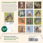 Audubon Little Owls Mini Wall Calendar 2025 - National Audubon Society 9781523526130