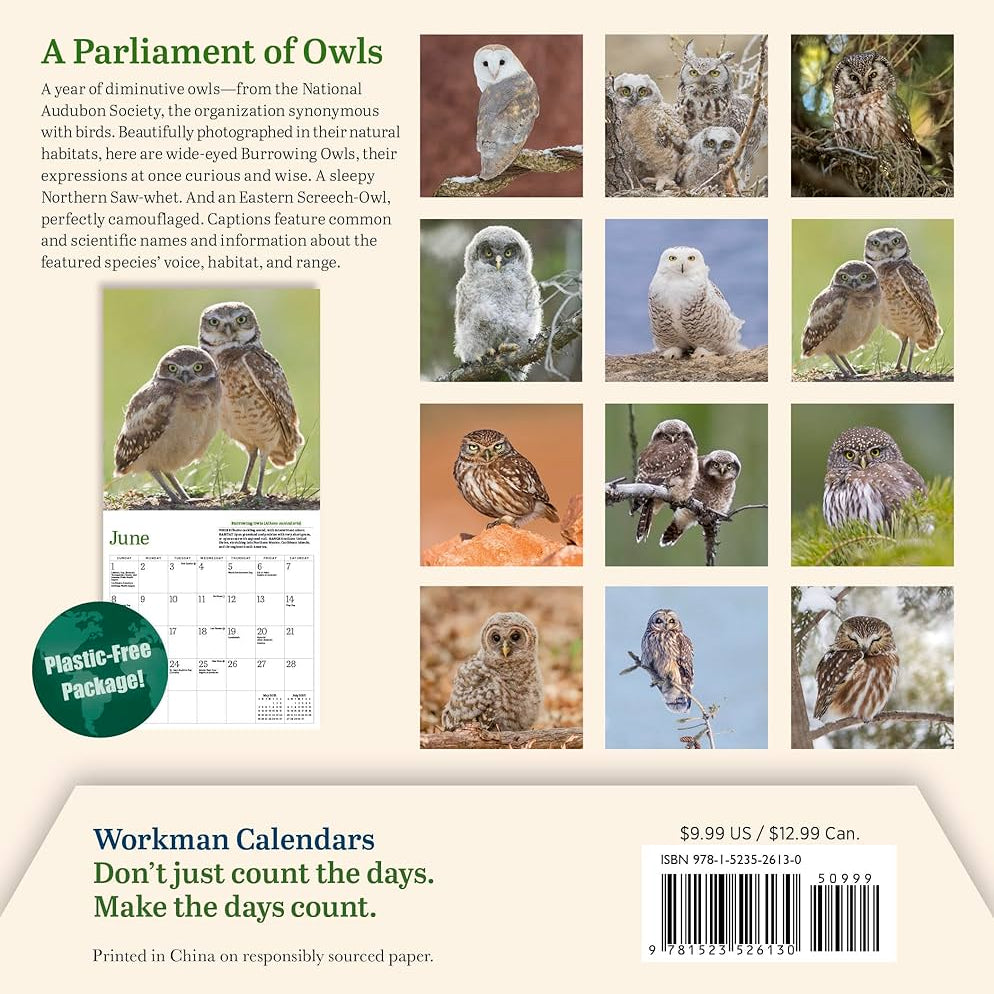 Audubon Little Owls Mini Wall Calendar 2025 - National Audubon Society 9781523526130