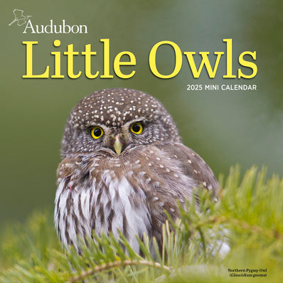 Audubon Little Owls Mini Wall Calendar 2025 - National Audubon Society 9781523526130_c7e23fef-33b3-4d73-a674-bd2e870fb3bf