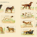 Victoriana Dogs: The Sticker Book - Hart. Cynthia 9781523526154_5
