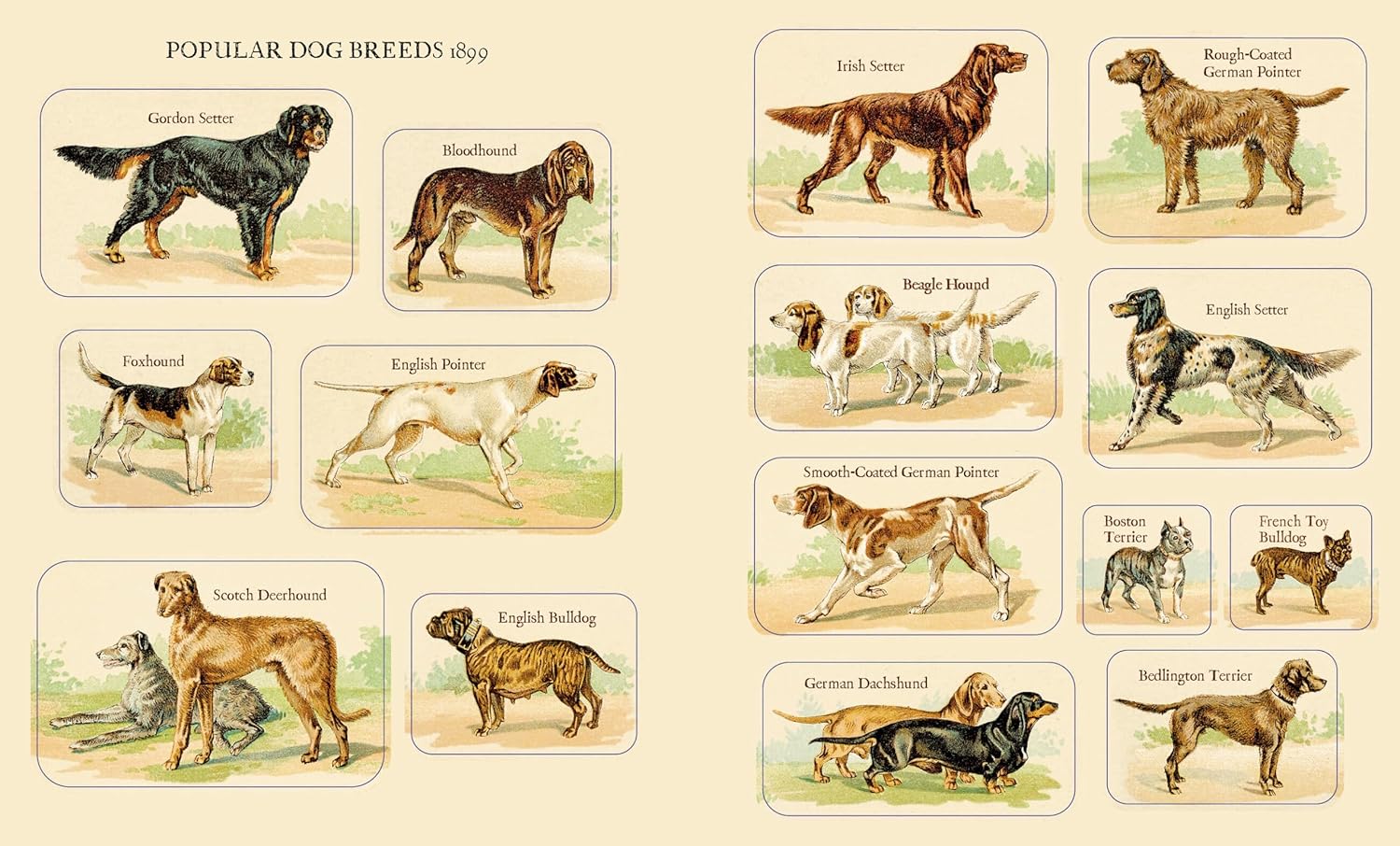 Victoriana Dogs: The Sticker Book - Hart. Cynthia 9781523526154_5
