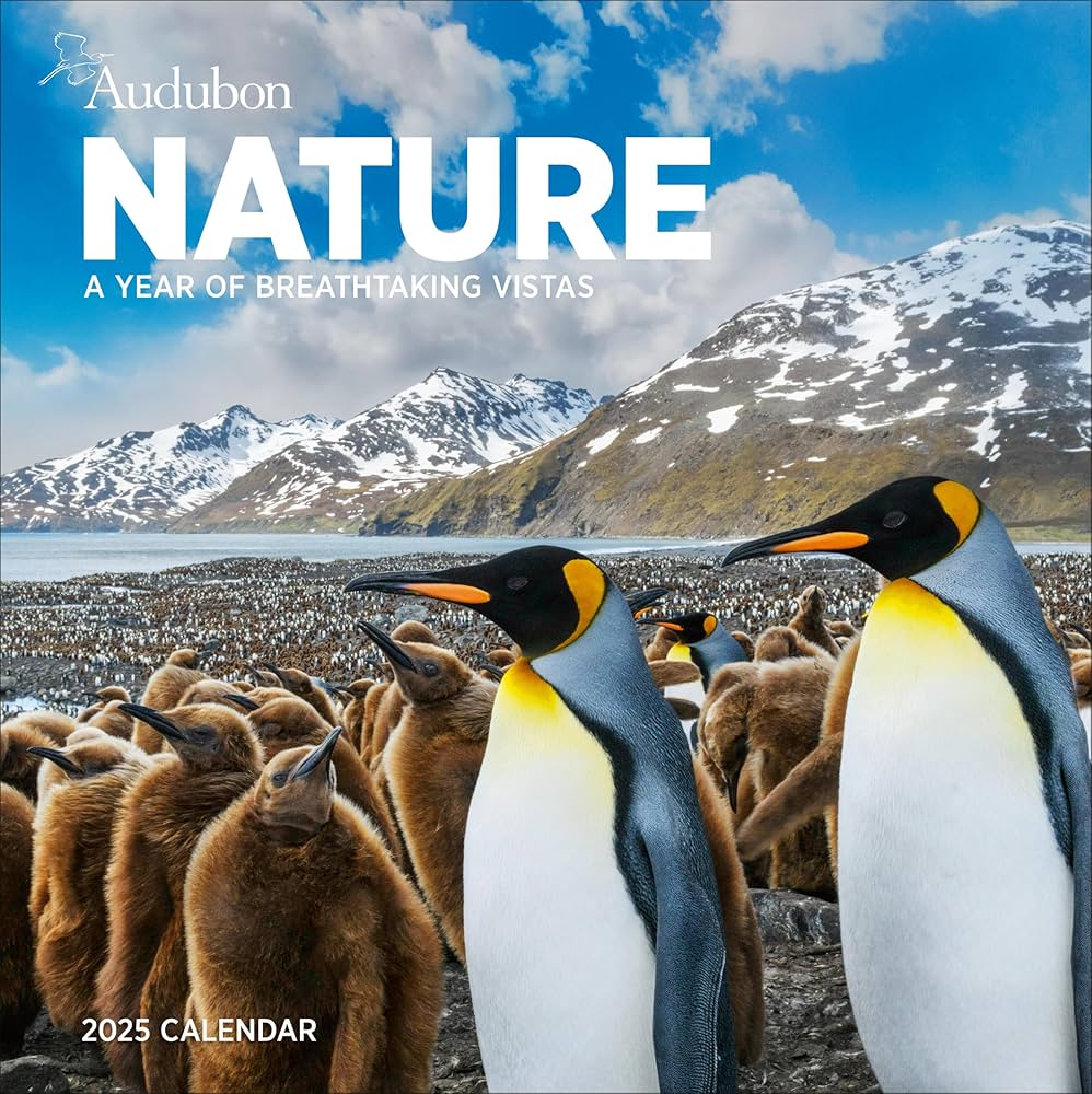 Audubon Nature Wall Calendar 2025 - National Audubon Society 9781523526307