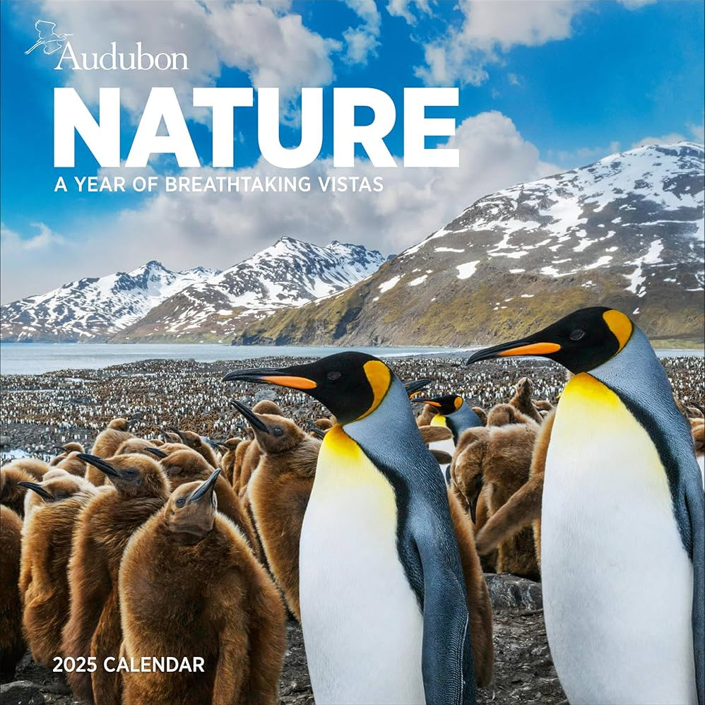 Audubon Nature Wall Calendar 2025 - National Audubon Society 9781523526307